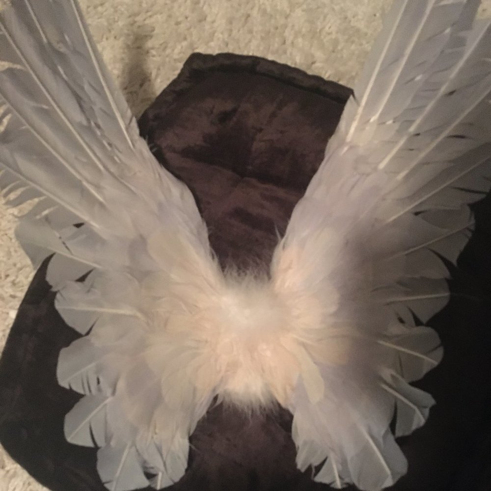 Stonehart Floating Wings in Size Medium Carrier Pigeon